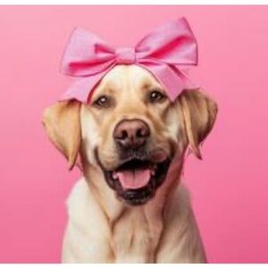 Live 3/23/25 Even Items 0051 - 0100